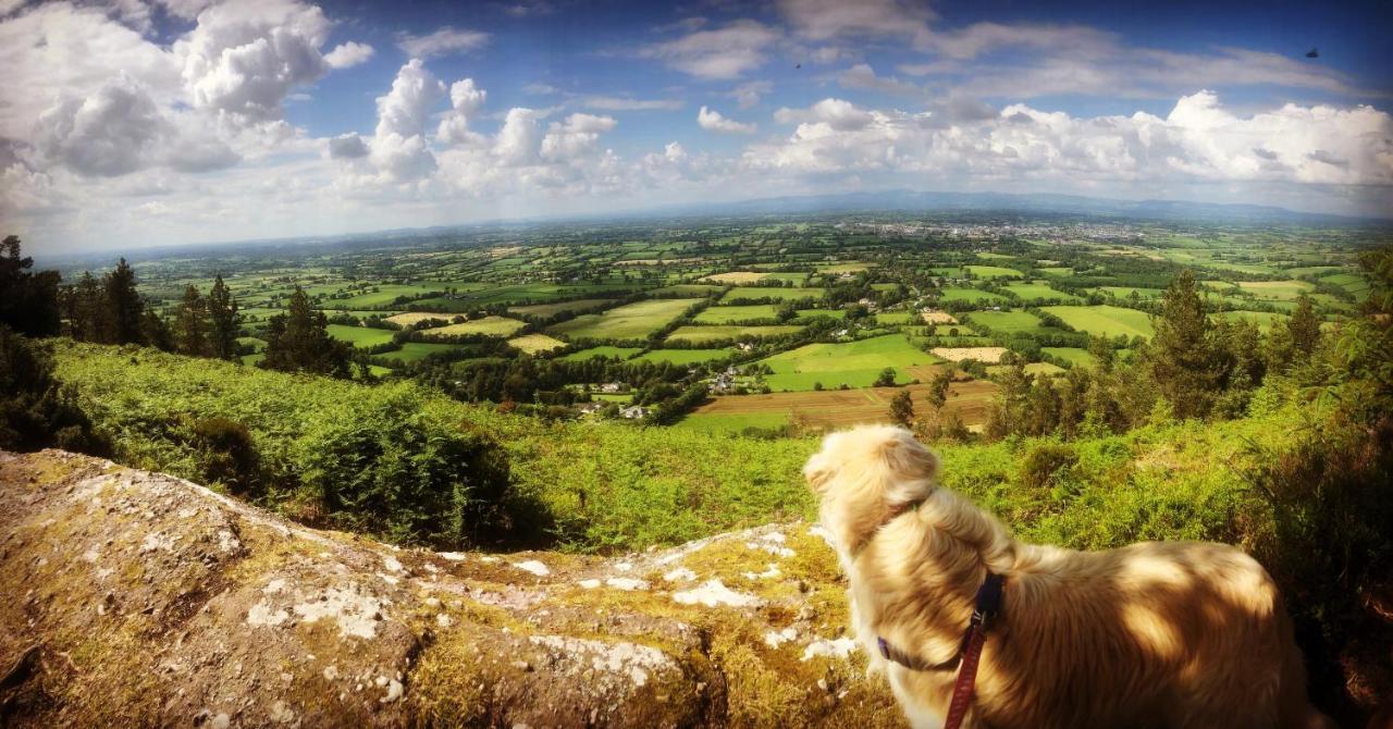 Ballyglass Country House Tipperary Luaran gambar