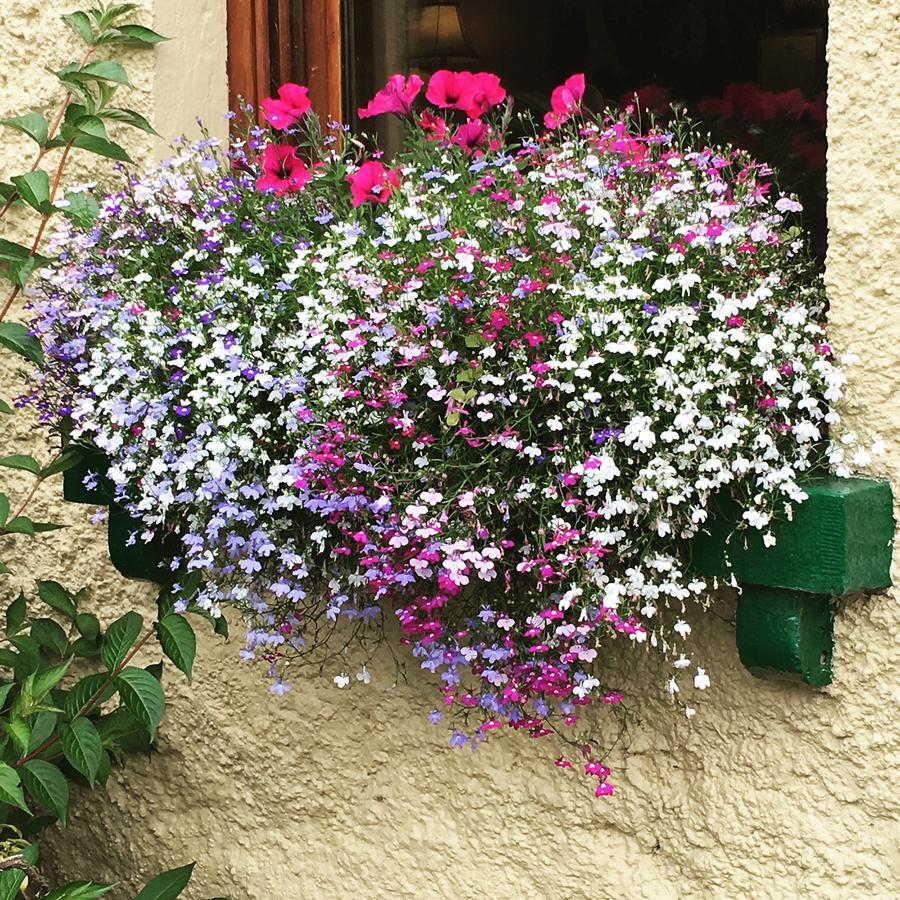 Ballyglass Country House Tipperary Luaran gambar